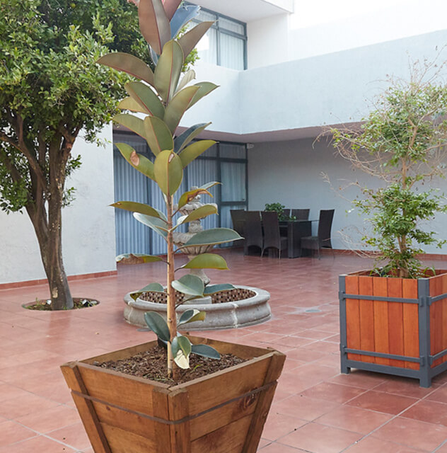 Cirugía de hombro en guadalajara - Cirugía Ortopédica y Traumatología Cirugía de hombro en guadalajara - Dr. Esteban Castro - Médico Traumatólogo Ortopédista | Cirugía de columna y articular