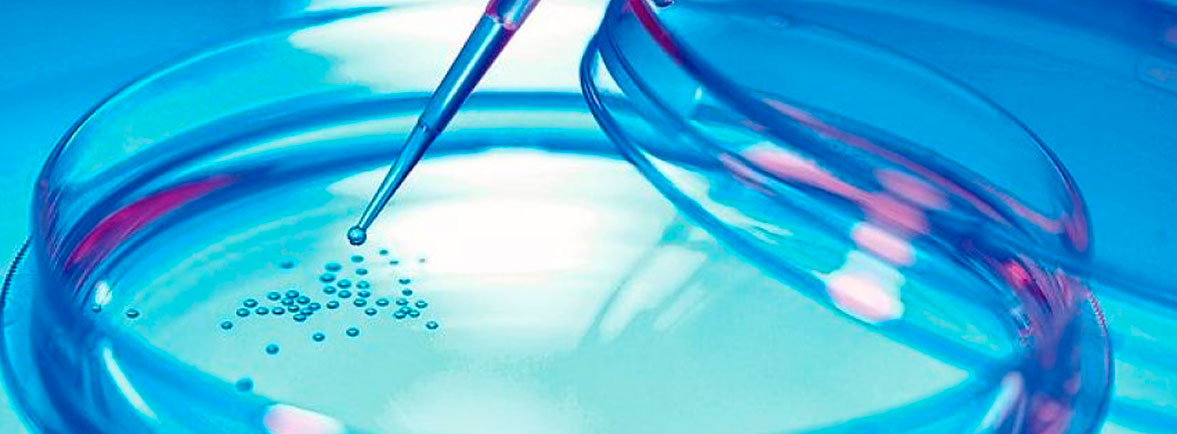 Células madre y su uso en ortopedia - CÉLULAS MADRE Y SU USO EN ORTOPEDIA Células madre y su uso en ortopedia - Dr. Esteban Castro - Médico Traumatólogo Ortopédista | Cirugía de columna y articular