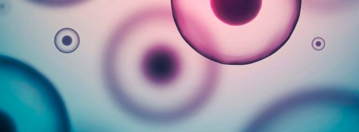 Beneficios de las Células Madres - Dr. Esteban Castro - Médico Traumatólogo Ortopédista | Cirugía de columna y articular