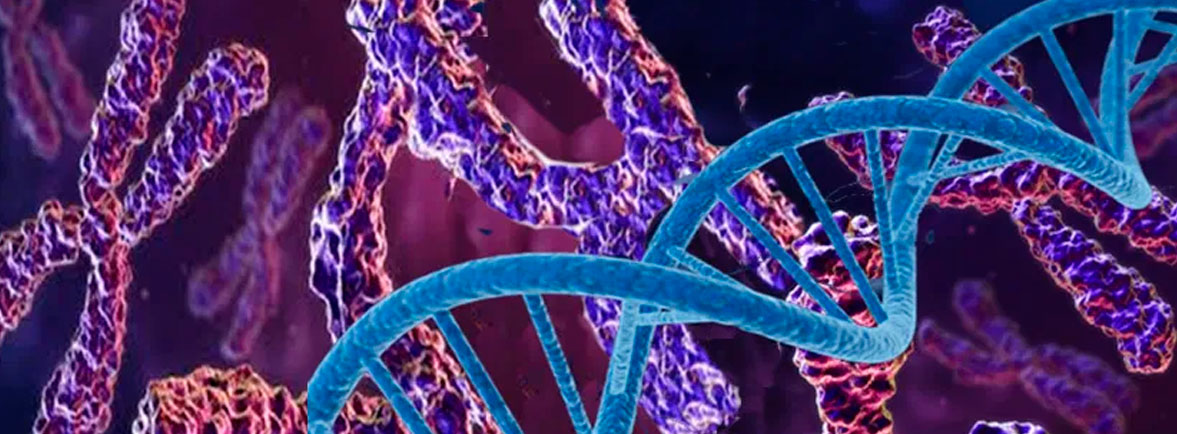Enfermedades Degenerativas - Dr. Esteban Castro - Médico Traumatólogo Ortopédista | Cirugía de columna y articular