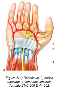 Síndrome del túnel del carpo - Dr. Esteban Castro - Médico Traumatólogo Ortopédista | Cirugía de columna y articular