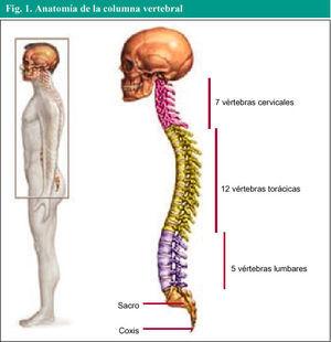 Lesión de músculos de cuello. Cervicalgia